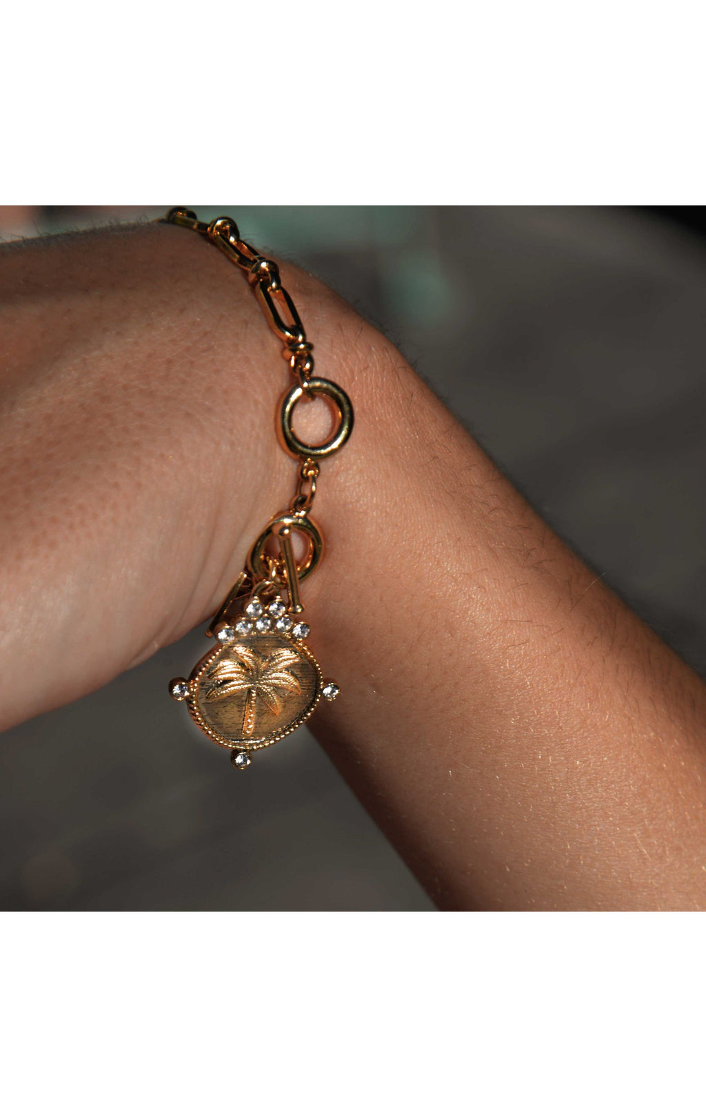 Bracelet Delsol